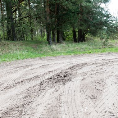 Bahar boş ülkede yol