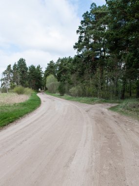 Bahar boş ülkede yol