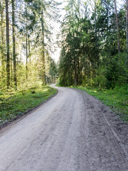 Strada di campagna vuota nella foresta — Foto Stock