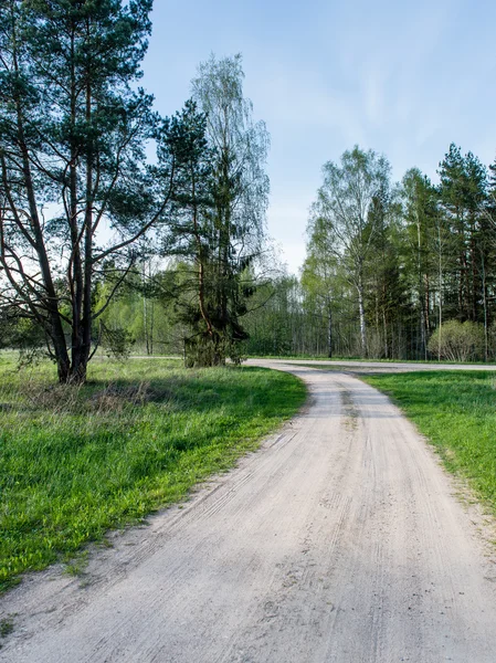 Lege landweg in bos — Stockfoto