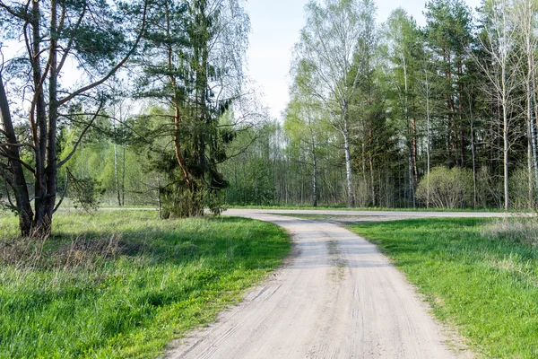 Strada di campagna vuota nella foresta — Foto Stock