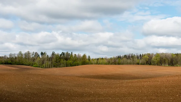 Leere Landstraße im Frühjahr — Stockfoto