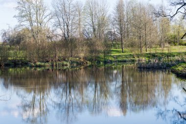 ağaçlar ve su bulutlarda doğal yansımaları