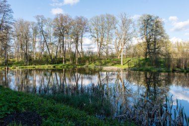 ağaçlar ve su bulutlarda doğal yansımaları