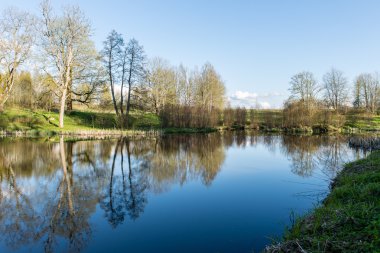 ağaçlar ve su bulutlarda doğal yansımaları