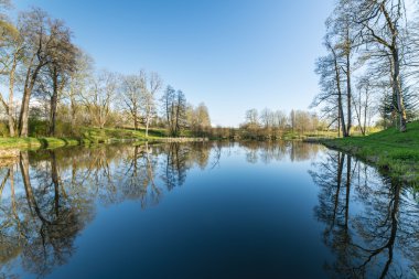 ağaçlar ve su bulutlarda doğal yansımaları