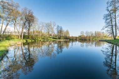 ağaçlar ve su bulutlarda doğal yansımaları