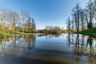 ağaçlar ve su bulutlarda doğal yansımaları