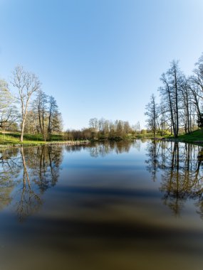 ağaçlar ve su bulutlarda doğal yansımaları