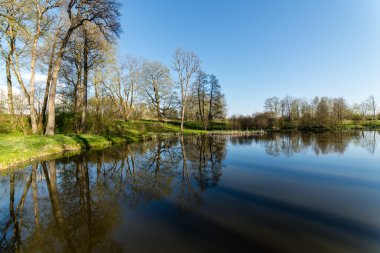 ağaçlar ve su bulutlarda doğal yansımaları