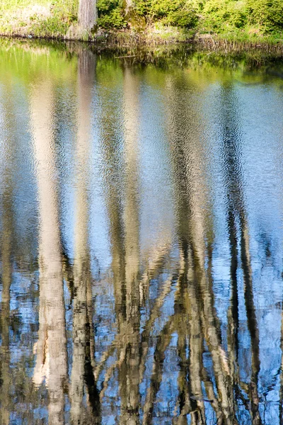 Reflets scéniques des arbres et des nuages dans l'eau — Photo