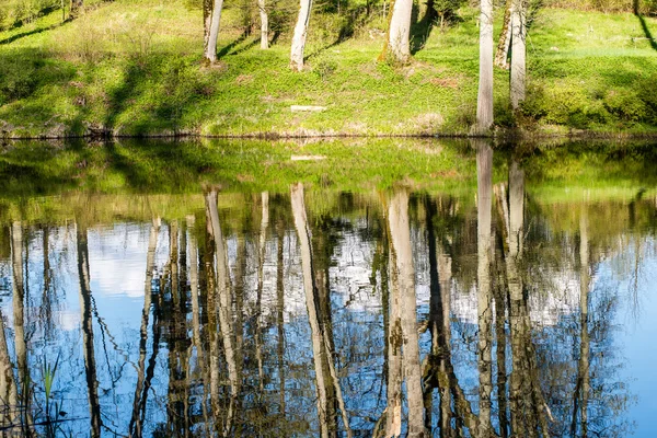 Scenic reflections of trees and clouds in water — Stock Photo, Image