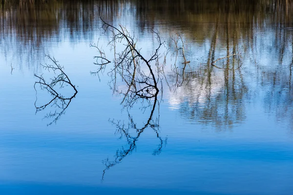Schilderachtige reflecties van bomen en wolken in water — Stockfoto