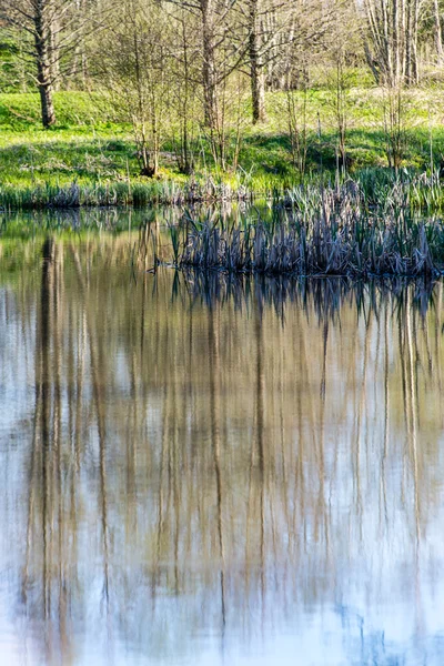 Reflejos escénicos de árboles y nubes en el agua —  Fotos de Stock