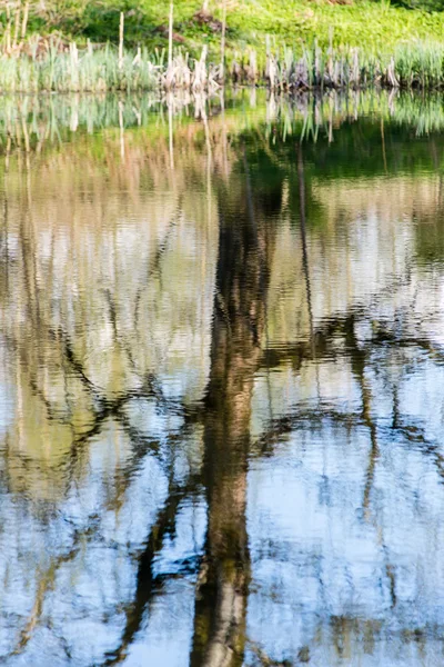 Reflexões cênicas de árvores e nuvens na água — Fotografia de Stock