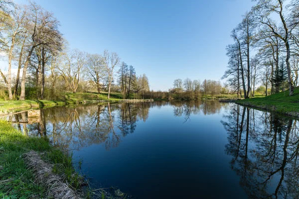 Malownicze refleksje drzew i chmury w wodzie — Zdjęcie stockowe