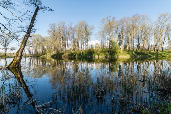 Reflexões cênicas de árvores e nuvens na água — Fotografia de Stock