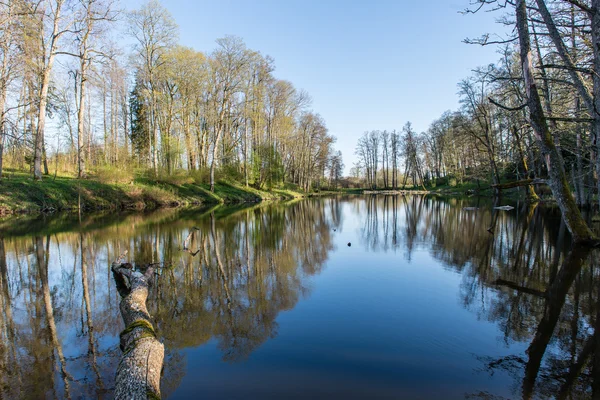 Malerische Reflexionen von Bäumen und Wolken im Wasser — Stockfoto