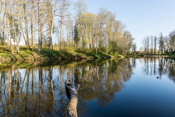 Reflejos escénicos de árboles y nubes en el agua —  Fotos de Stock