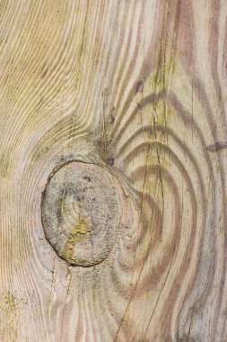 kıymıklar ve çatlaklar ile ahşap tahta