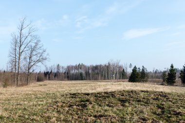 ormanda bahar güneşli turist iz