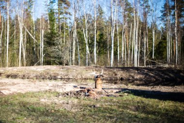 kırsal alanlar erken Bahar