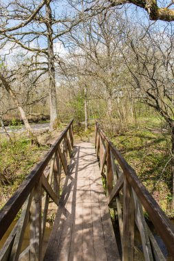 ormanda bahar güneşli turist iz