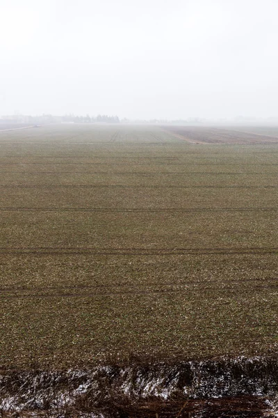 Campi di campagna all'inizio della primavera — Foto Stock