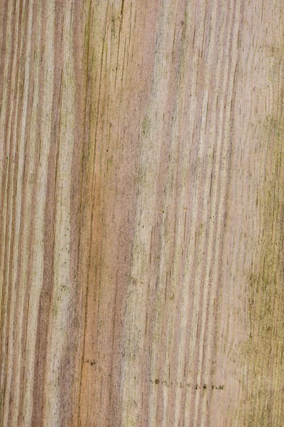 Houten plank met splinters en scheuren — Stockfoto