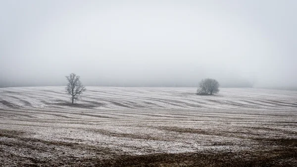 Countryside fields in early spring — Stock Photo, Image