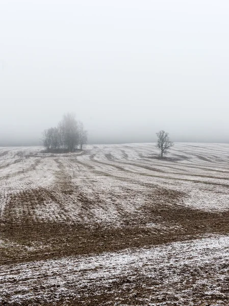 Landsbygden fält tidigt på våren — Stockfoto