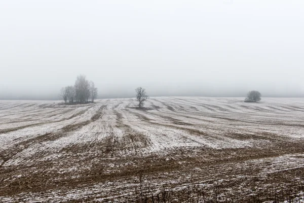 Сільські поля ранньої весни — стокове фото