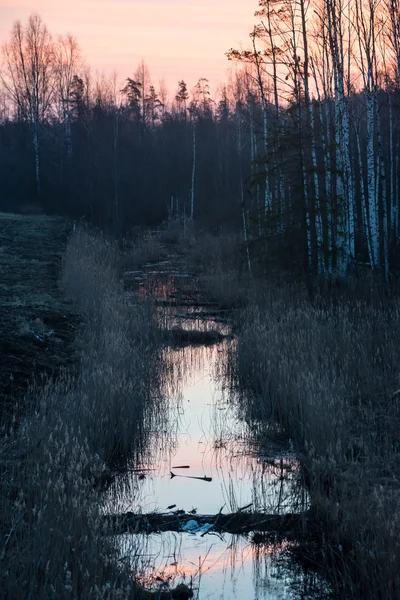 Beau lever de soleil sur le lac de campagne — Photo