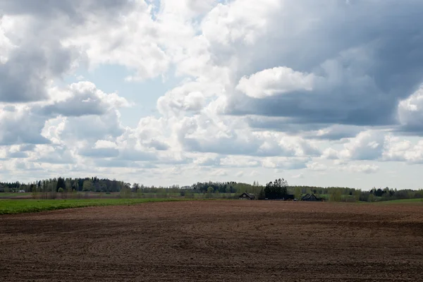 Landsbygden fält tidigt på våren — Stockfoto