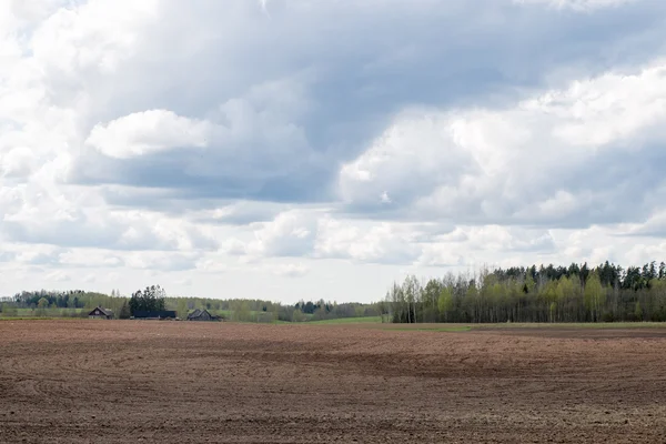 Platteland velden in het vroege voorjaar — Stockfoto