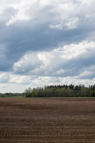 Campos rurais no início da primavera — Fotografia de Stock