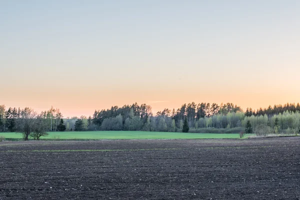 Platteland velden in het vroege voorjaar — Stockfoto