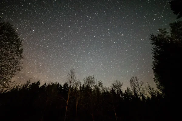 Cielo nocturno con estrellas — Foto de Stock