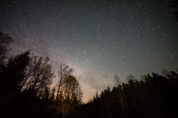 Cielo nocturno con estrellas — Foto de Stock