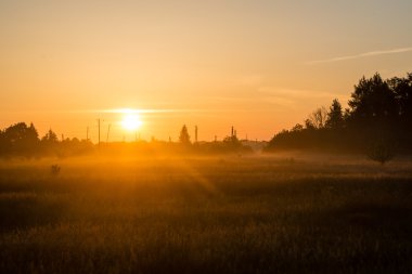 gündoğumu puslu ülke çayırda