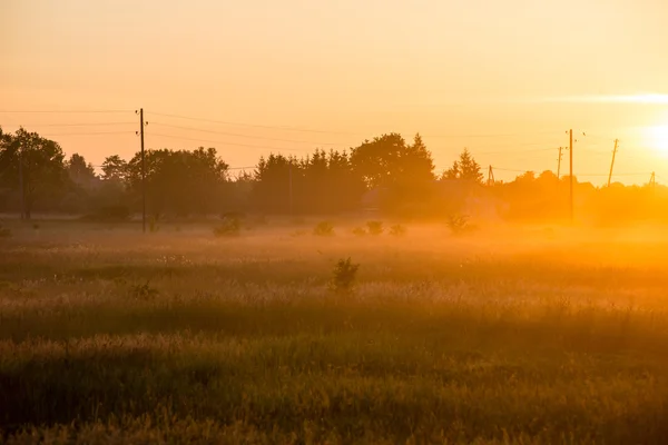 Sunrise in misty country meadow — Stock Photo, Image