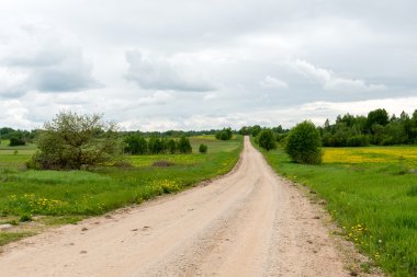 Kırsalda boş bir yol