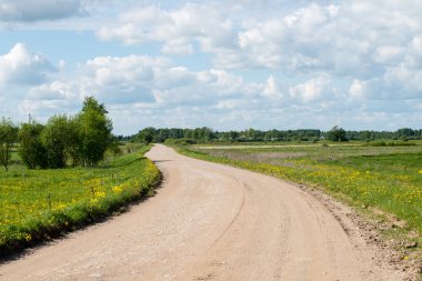 Kırsalda boş bir yol