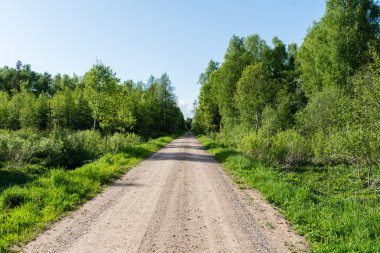 Kırsalda boş bir yol