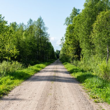Kırsalda boş bir yol