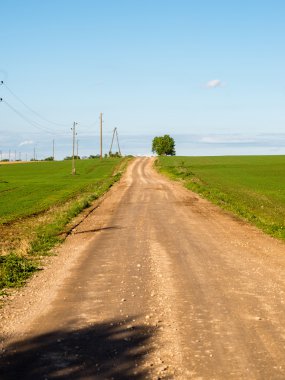 Kırsalda boş bir yol