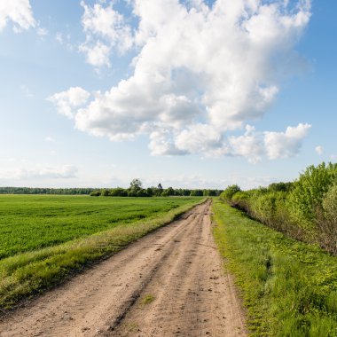 Kırsalda boş bir yol