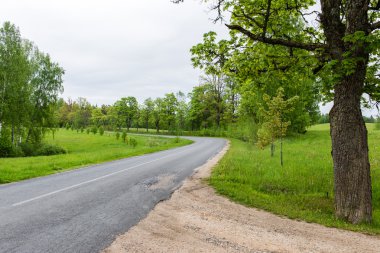 Kırsalda boş bir yol