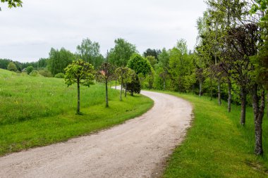 Kırsalda boş bir yol