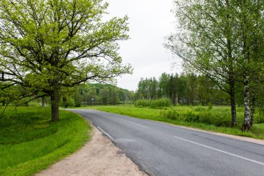 Kırsalda boş bir yol